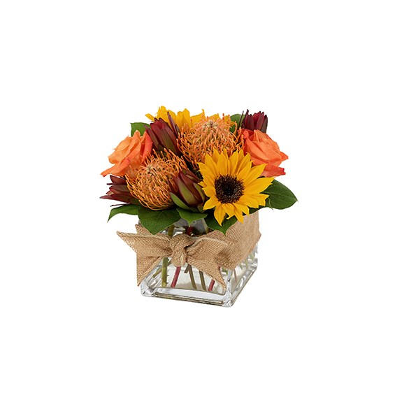 Nature's Bounty - Fall (BF349-11K)