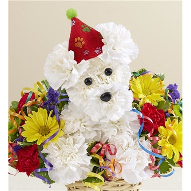 Another Year Rover&trade;