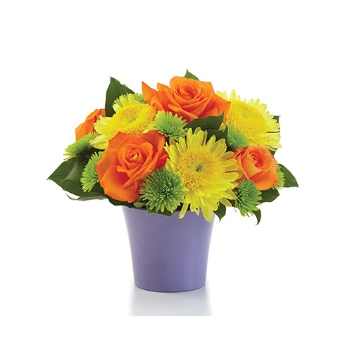 Citrus Surprise flower bouquet (BF51-11KS)
